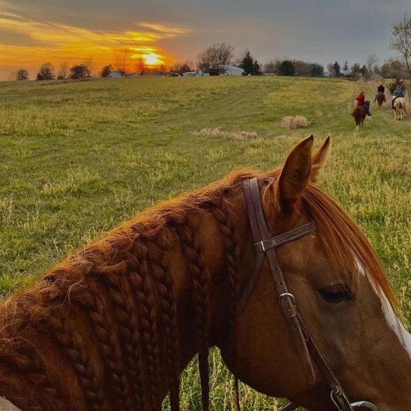 Meet your Posher, Rebekah - Picture 5 of 6